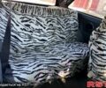 ЗАЗ Таврия, объемом двигателя 1.2 л и пробегом 166 тыс. км за 600 $, фото 6 на Automoto.ua