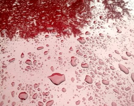 ЗАЗ Вида 2013 в Полтаве на Automoto.ua Красный ЗАЗ Вида, объемом двигателя 1.5 л и пробегом 133 тыс. км за 3600 $, фото 2 на Automoto.ua