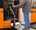 купити нове авто ЗАЗ А08 2024 року від офіційного дилера Хмельниччина-Авто ЗАЗ ЗАЗ фото