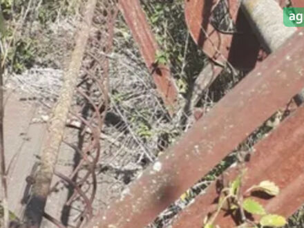 ЖВП 6, об'ємом двигуна 0 л та пробігом 0 тис. км за 298 $, фото 1 на Automoto.ua