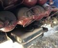 ЗИЛ 130, объемом двигателя 0 л и пробегом 0 тыс. км за 2900 $, фото 7 на Automoto.ua