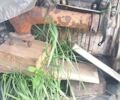 ЗИЛ 130, объемом двигателя 0 л и пробегом 63 тыс. км за 6000 $, фото 18 на Automoto.ua