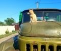 ЗИЛ 131, объемом двигателя 6 л и пробегом 0 тыс. км за 7000 $, фото 1 на Automoto.ua