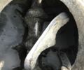 ЗИЛ 131 1989 в Черновцах на Automoto.ua ЗИЛ 131, объемом двигателя 6 л и пробегом 0 тыс. км за 6485 $, фото 6 на Automoto.ua