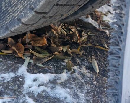 ЗИЛ 131 2010 в Тернополе на Automoto.ua ЗИЛ 131, объемом двигателя 6 л и пробегом 0 тыс. км за 10800 $, фото 4 на Automoto.ua