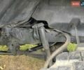 ЗИЛ 131 1982 в Косове на Automoto.ua Зеленый ЗИЛ 131, объемом двигателя 6 л и пробегом 10 тыс. км за 7999 $, фото 6 на Automoto.ua