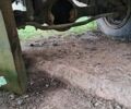 ЗИЛ ММЗ 554, объемом двигателя 0 л и пробегом 35 тыс. км за 5500 $, фото 5 на Automoto.ua