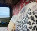 Зеленый ЗИЛ ММЗ 554, объемом двигателя 4.75 л и пробегом 38 тыс. км за 8500 $, фото 10 на Automoto.ua