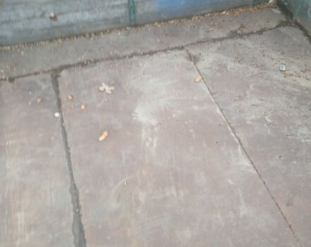 ЗИЛ Другая, объемом двигателя 0 л и пробегом 0 тыс. км за 2200 $, фото 4 на Automoto.ua