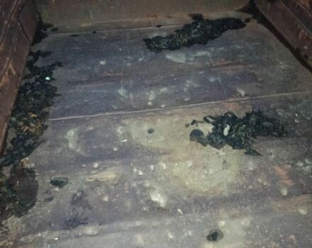 ЗІЛ Другая, об'ємом двигуна 0 л та пробігом 0 тис. км за 3500 $, фото 5 на Automoto.ua