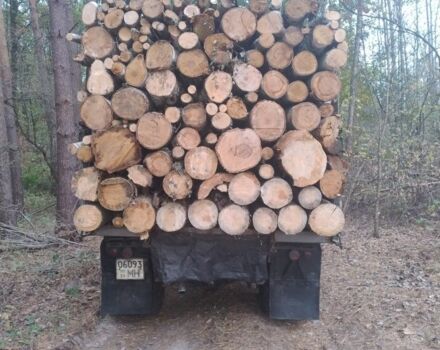 ЗІЛ Другая, об'ємом двигуна 0 л та пробігом 0 тис. км за 3700 $, фото 5 на Automoto.ua