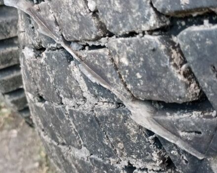 ЗИЛ Другая, объемом двигателя 0 л и пробегом 0 тыс. км за 5500 $, фото 4 на Automoto.ua