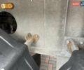 Белый Заслав D 653, объемом двигателя 0 л и пробегом 100 тыс. км за 43188 $, фото 41 на Automoto.ua