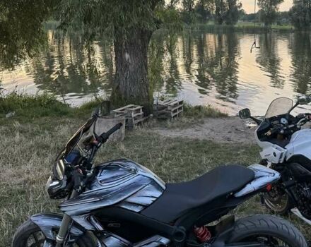 Серый Зеро СР, объемом двигателя 0 л и пробегом 2 тыс. км за 12500 $, фото 4 на Automoto.ua