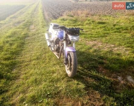 Зонгшен 250, объемом двигателя 0 л и пробегом 5 тыс. км за 620 $, фото 2 на Automoto.ua