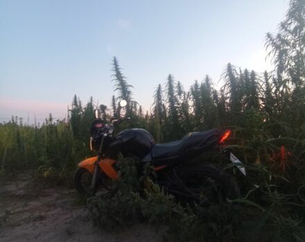 Зонгшен 3302, об'ємом двигуна 0.25 л та пробігом 0 тис. км за 700 $, фото 4 на Automoto.ua