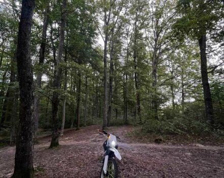 Зонгшен Другая, объемом двигателя 0.25 л и пробегом 0 тыс. км за 687 $, фото 1 на Automoto.ua