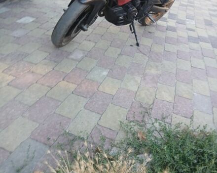 Зонгшен Другая, объемом двигателя 0.2 л и пробегом 0 тыс. км за 796 $, фото 1 на Automoto.ua