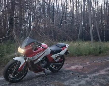 Червоний Зонгшен ZS 200GS, об'ємом двигуна 0.2 л та пробігом 24 тис. км за 664 $, фото 8 на Automoto.ua