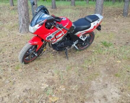 Зонгшен ZS 250GS, объемом двигателя 0.25 л и пробегом 14 тыс. км за 980 $, фото 11 на Automoto.ua