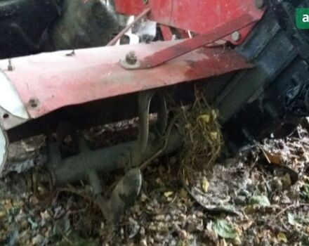 Зубр 12, об'ємом двигуна 0 л та пробігом 100 тис. км за 2500 $, фото 2 на Automoto.ua