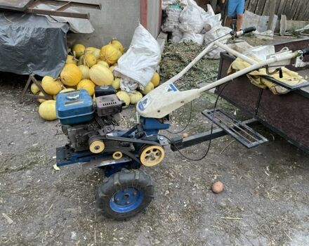 Синий Зубр 170F, объемом двигателя 0.52 л и пробегом 2 тыс. км за 430 $, фото 1 на Automoto.ua