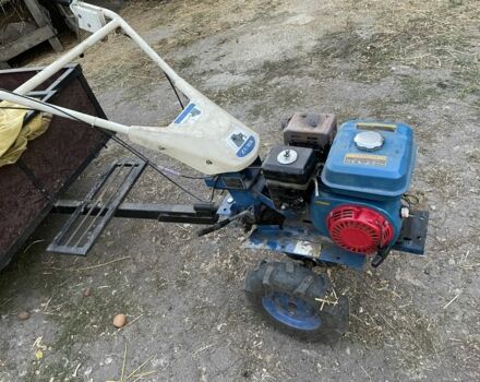 Синий Зубр 170F, объемом двигателя 0.52 л и пробегом 2 тыс. км за 430 $, фото 4 на Automoto.ua