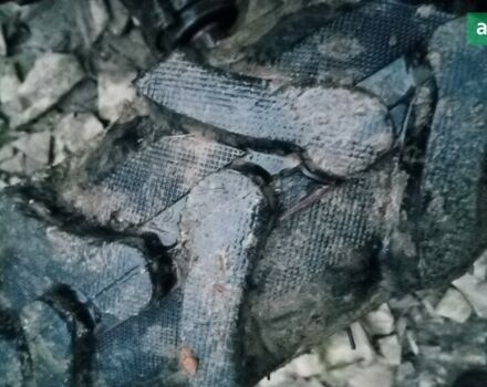 Зубр 8, объемом двигателя 8 л и пробегом 0 тыс. км за 688 $, фото 2 на Automoto.ua