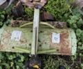 Синій Зубр 8, об'ємом двигуна 0.12 л та пробігом 10 тис. км за 885 $, фото 5 на Automoto.ua