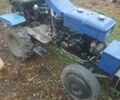 Синий Зубр 8, объемом двигателя 0 л и пробегом 10 тыс. км за 909 $, фото 1 на Automoto.ua