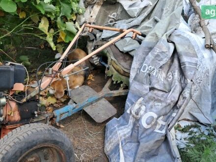 Зубр КсA, об'ємом двигуна 0 л та пробігом 0 тис. км за 364 $, фото 1 на Automoto.ua