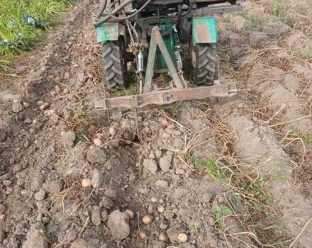 Зубр Другая 2003 в Бердичеве на Automoto.ua Зубр Другая, объемом двигателя 0 л и пробегом 444 тыс. км за 1072 $, фото 3 на Automoto.ua