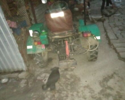 Зубр Другая, объемом двигателя 0 л и пробегом 2 тыс. км за 1300 $, фото 6 на Automoto.ua