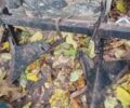 Зубр Другая, объемом двигателя 1.5 л и пробегом 16 тыс. км за 1800 $, фото 8 на Automoto.ua