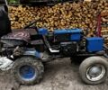 Зубр Інша, об'ємом двигуна 600 л та пробігом 300 тис. км за 52000 $, фото 1 на Automoto.ua