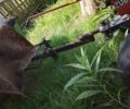 Зубр Другая, объемом двигателя 0 л и пробегом 0 тыс. км за 351 $, фото 5 на Automoto.ua