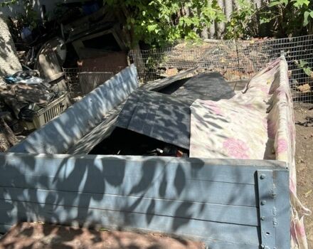 Зубр Другая, объемом двигателя 0 л и пробегом 3 тыс. км за 726 $, фото 4 на Automoto.ua