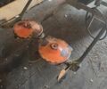 Зубр Другая, объемом двигателя 0 л и пробегом 0 тыс. км за 969 $, фото 1 на Automoto.ua