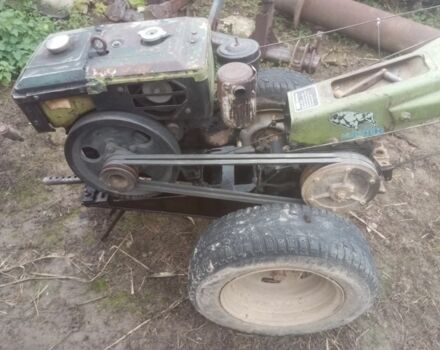 Зубр Інша, об'ємом двигуна 0 л та пробігом 1000 тис. км за 498 $, фото 3 на Automoto.ua