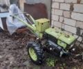 Зубр Другая, объемом двигателя 10 л и пробегом 0 тыс. км за 777 $, фото 5 на Automoto.ua