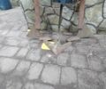 Зубр Інша, об'ємом двигуна 0 л та пробігом 0 тис. км за 219 $, фото 1 на Automoto.ua