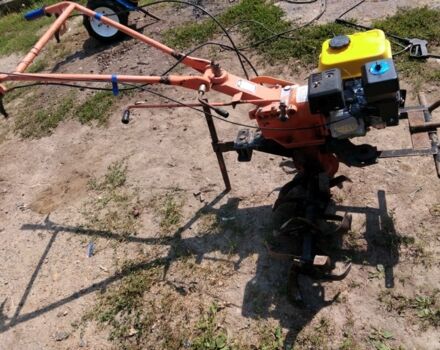 Зубр Інша, об'ємом двигуна 0 л та пробігом 0 тис. км за 339 $, фото 1 на Automoto.ua
