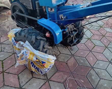 Зубр Інша, об'ємом двигуна 100 л та пробігом 100 тис. км за 826 $, фото 1 на Automoto.ua