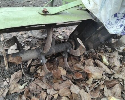 Зубр Другая, объемом двигателя 0 л и пробегом 0 тыс. км за 1001 $, фото 1 на Automoto.ua