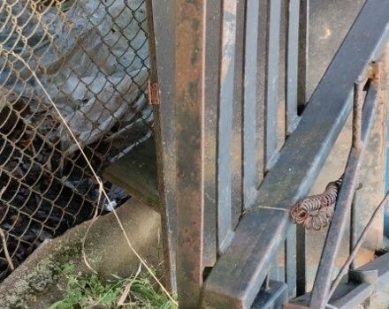 Зубр Другая, объемом двигателя 0 л и пробегом 0 тыс. км за 1000 $, фото 1 на Automoto.ua