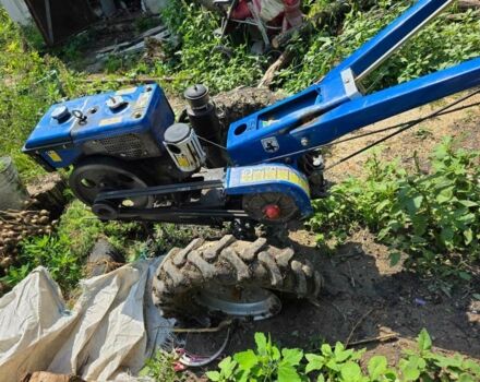 Зубр Інша, об'ємом двигуна 0 л та пробігом 200 тис. км за 841 $, фото 2 на Automoto.ua