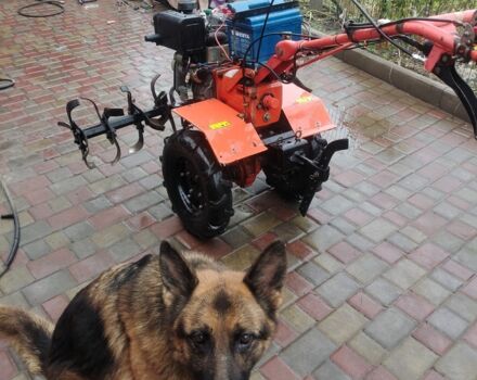 Зубр Другая, объемом двигателя 0.18 л и пробегом 50 тыс. км за 403 $, фото 2 на Automoto.ua