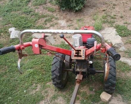 Зубр Другая, объемом двигателя 0 л и пробегом 0 тыс. км за 850 $, фото 3 на Automoto.ua