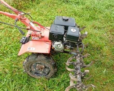 Зубр Другая, объемом двигателя 90 л и пробегом 10 тыс. км за 388 $, фото 1 на Automoto.ua
