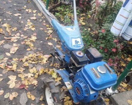 Зубр Другая, объемом двигателя 0 л и пробегом 0 тыс. км за 499 $, фото 1 на Automoto.ua